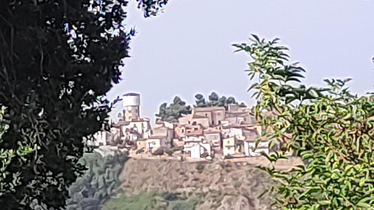 B&B I Tre Ulivi Morro d'Oro Экстерьер фото