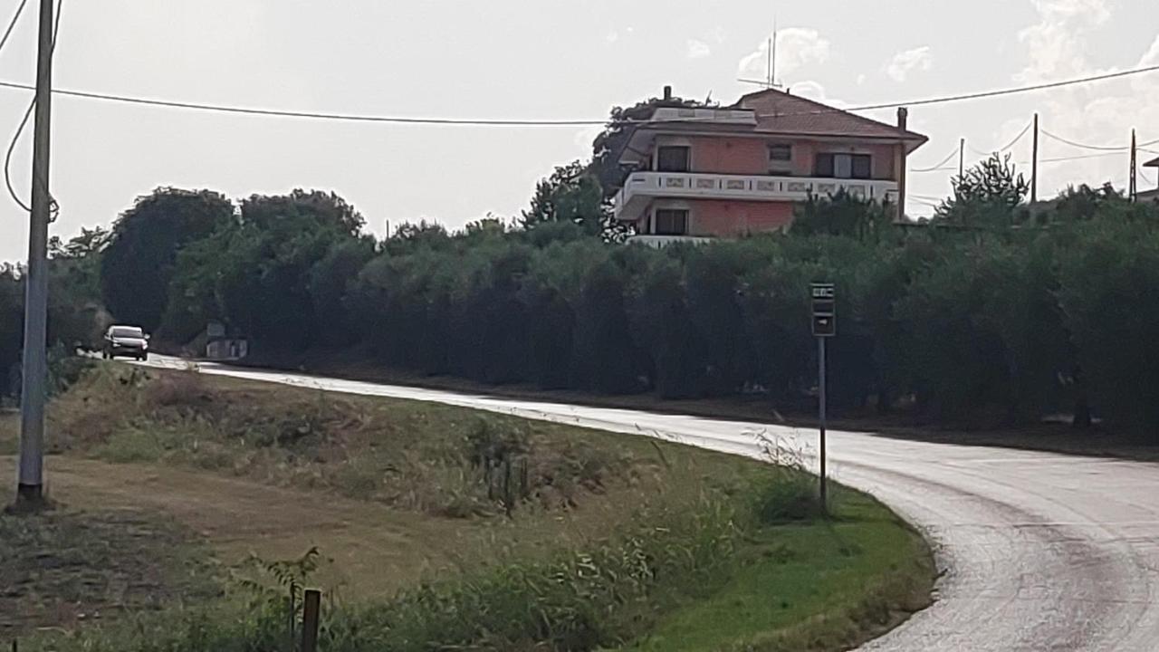 B&B I Tre Ulivi Morro d'Oro Экстерьер фото