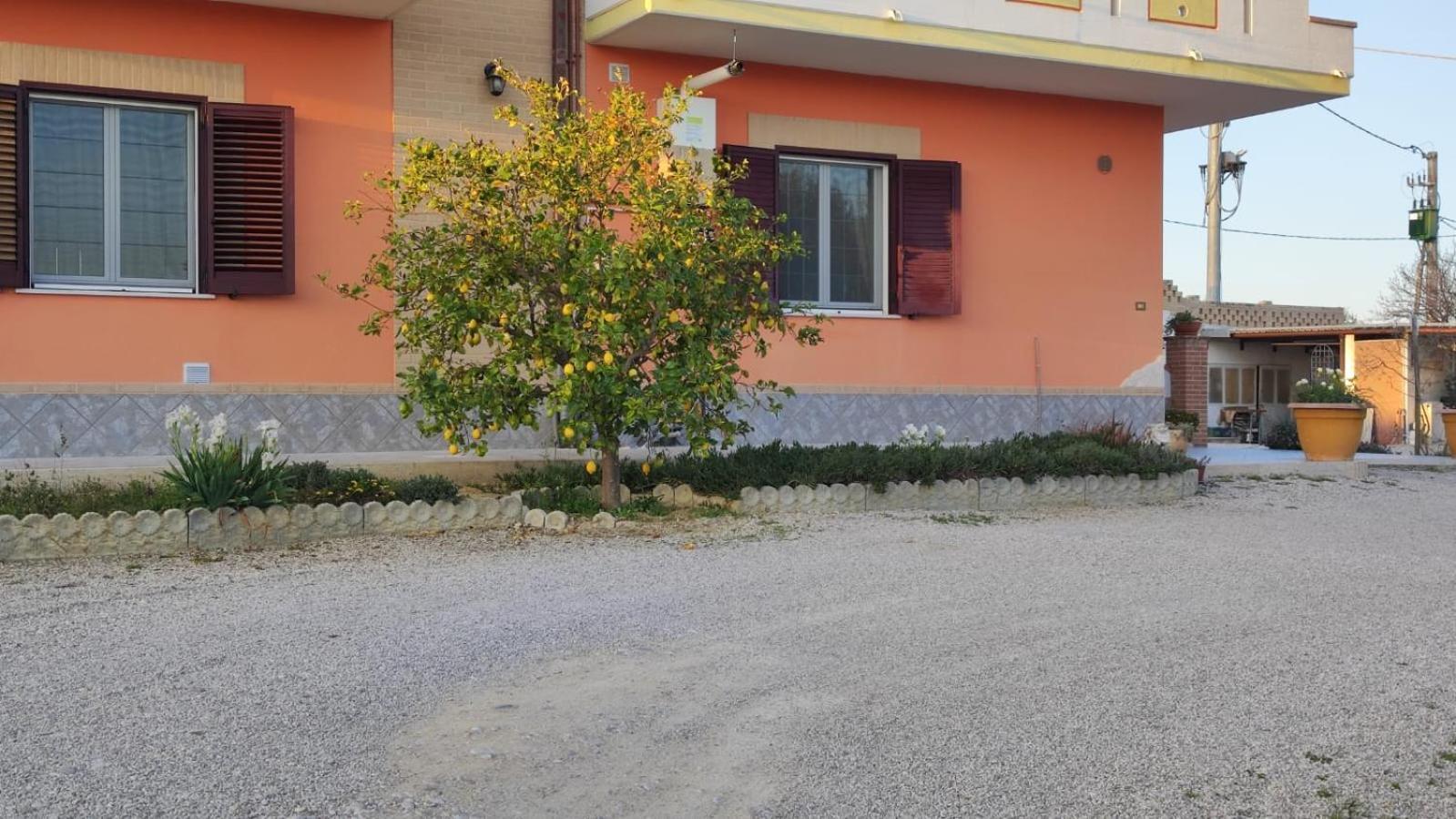 B&B I Tre Ulivi Morro d'Oro Экстерьер фото